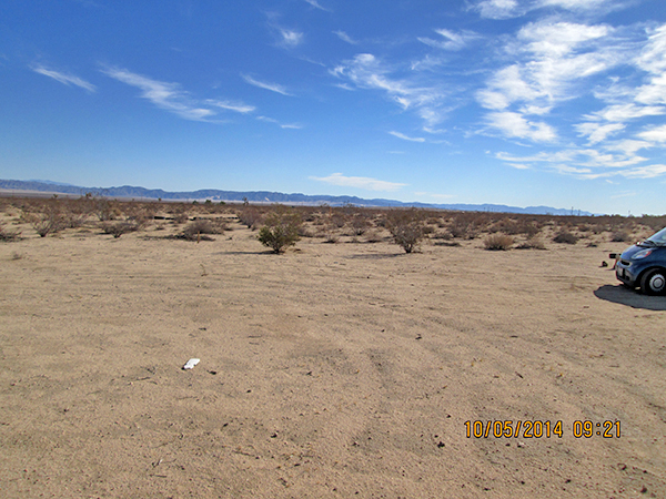Campsite Area