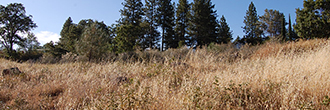 Find Your Adventure in Sunny Northern California