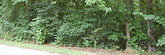 Beautiful Southern Gem Near Coosa River