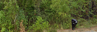 Quarter Acre Escape on the Edge of Small Louisiana Community