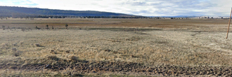 Roughly an Acre of Private Refuge