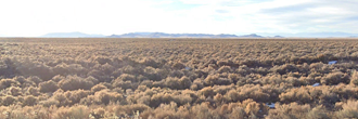 Just under 30 acres of off the grid perfection north of the stateline