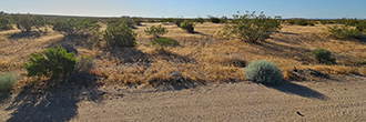 Over 3 acres of private, beautiful desert land