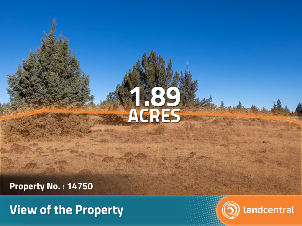 Spacious Lot in Modoc Recreational Estates10