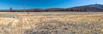 Almost ten acres of mountain property in southern Oregon