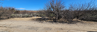 Peaceful property close to multiple national forests surrounded by small town