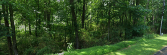 Beautifully wooded property in a growing yet quiet neighborhood