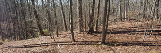 Beautiful property in a charming neighborhood close to the lake