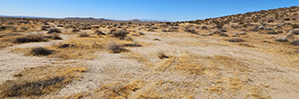 More than 2 acres just outside of a charming small desert town