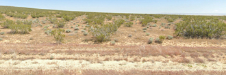 5 acres of secluded bliss awaits you at this beautiful property