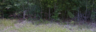 Great property in a quiet area just across the lake from New Orleans