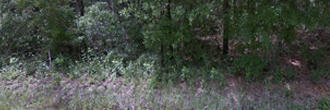 A charming lot in a peaceful neighborhood not far from the lake