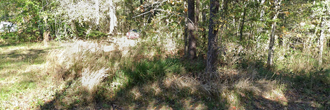 Almost half an acre of a long property near a small yet beautiful lake