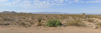 Beautiful two acre property full of potential and possibilities