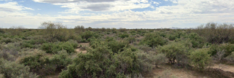 More than a quarter acre corner property in a growing community
