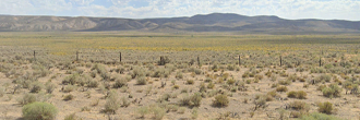 20 acres of off the grid paradise in the beauty of northern Nevada