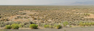 40 acres of stunning land in a gorgeous part of northern Nevada