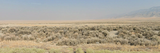 A huge parcel of gorgeous land full of potential